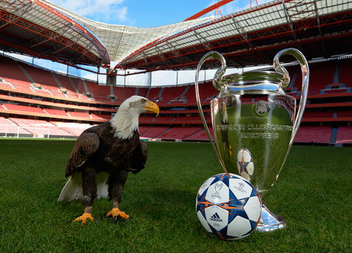 杜篮特关键投篮稳定输出（杜篮特关键时刻投篮稳健发挥）